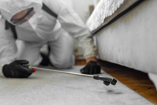 Professional Bed Bug Control technician working in Kilauea, HI